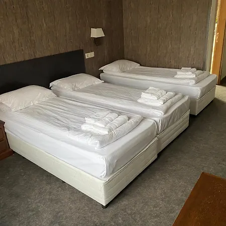 Domenic Free Parking 4* بلوفديف