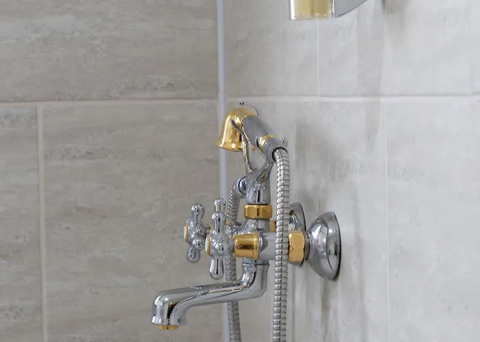 Domenic Free Parking 酒店 普罗夫迪夫