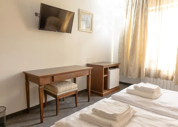 Domenic Free Parking 4* 普罗夫迪夫