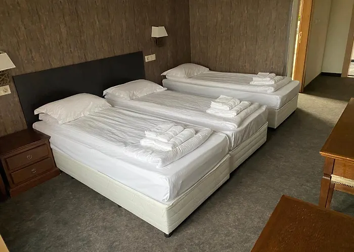 Domenic Free Parking 4* 普罗夫迪夫