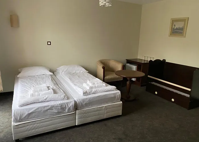 Domenic Free Parking 4*