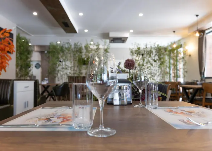 Domenic Free Parking