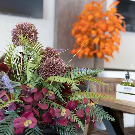 Domenic Free Parking