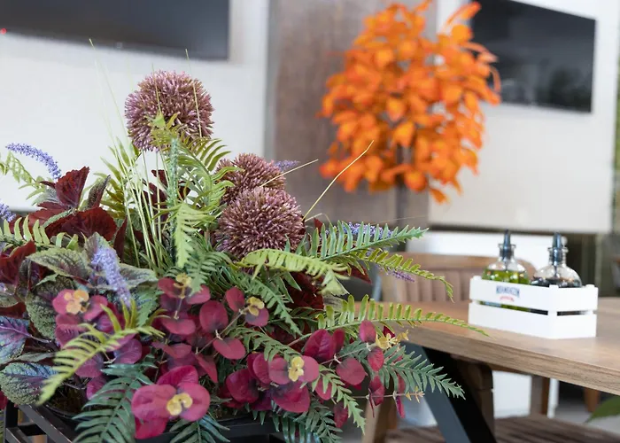 Domenic Free Parking